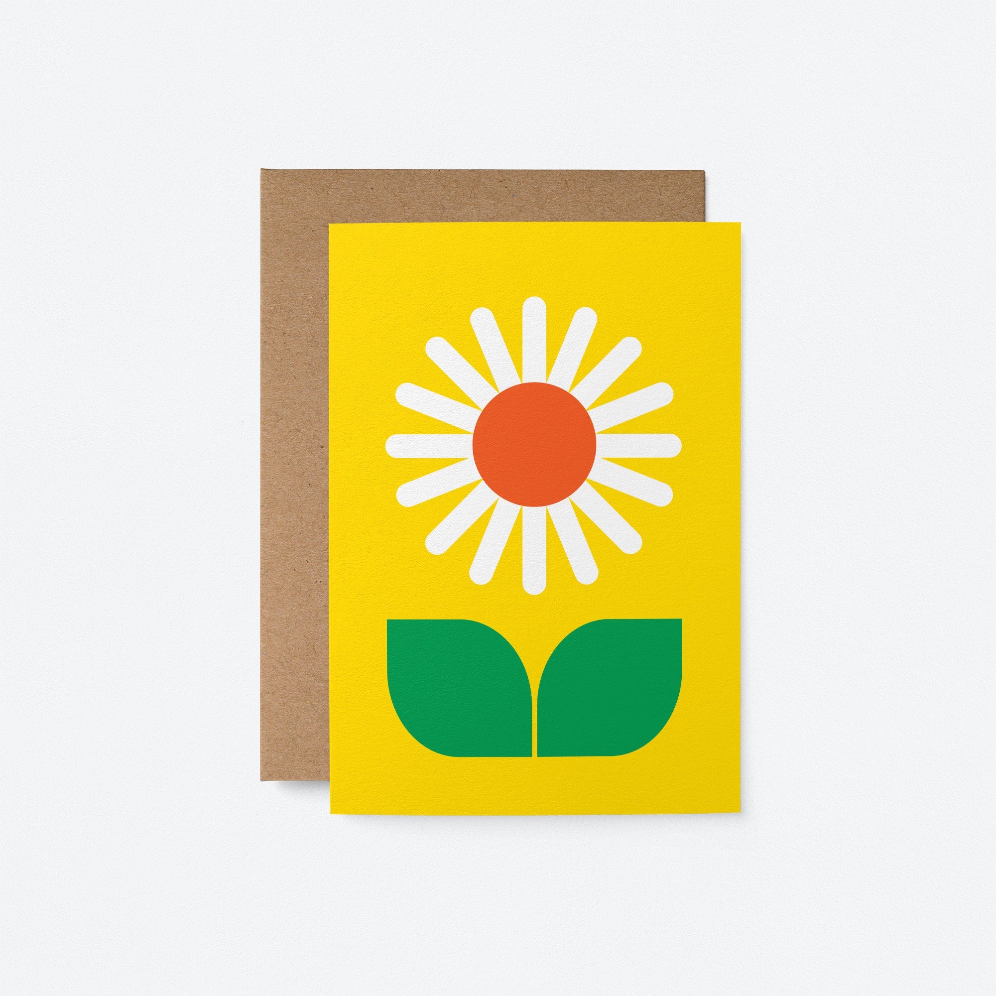 Surprise Pack of 5 Flower Cards - Blank